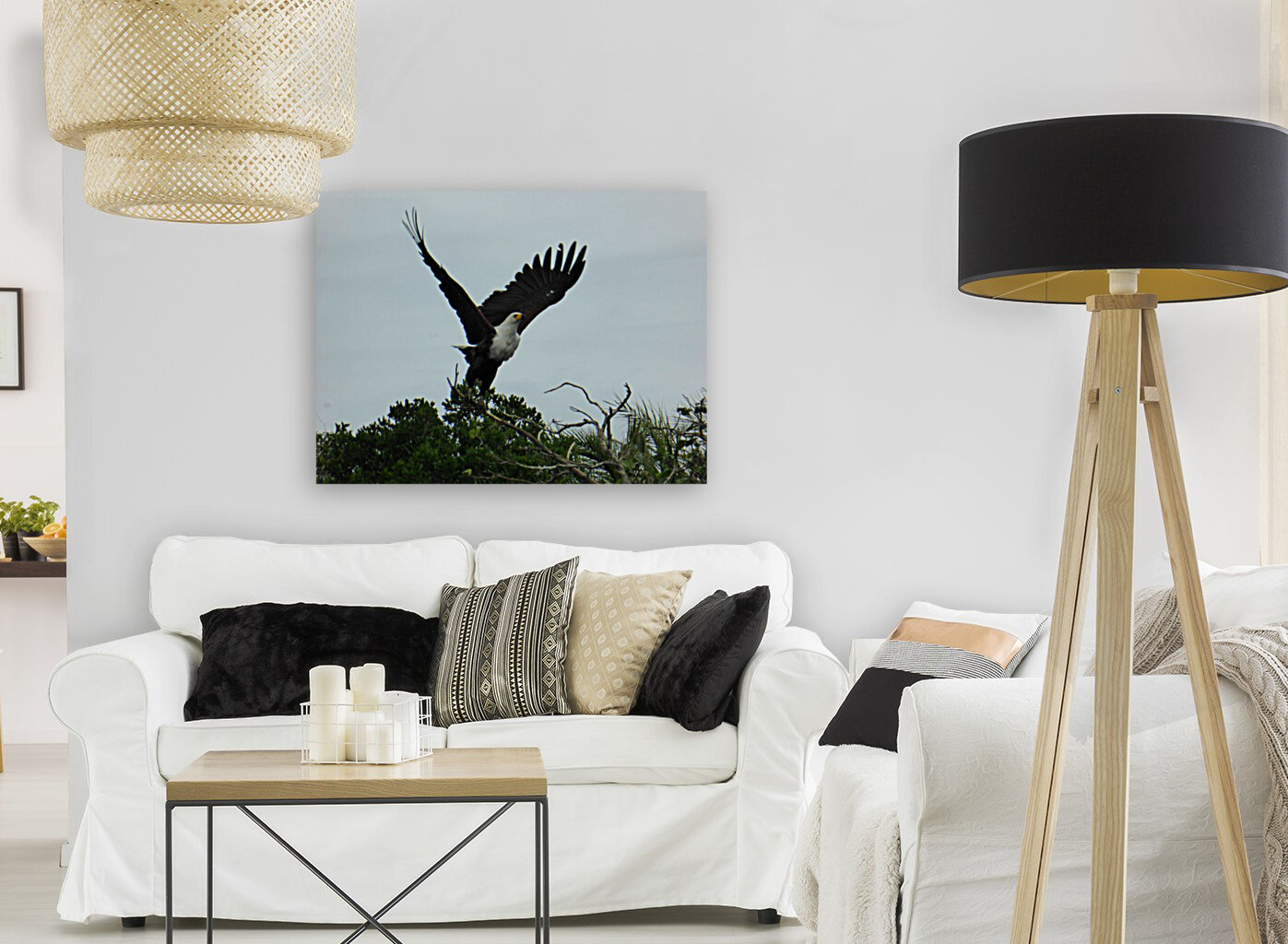 African Fish-Eagle Reproduction