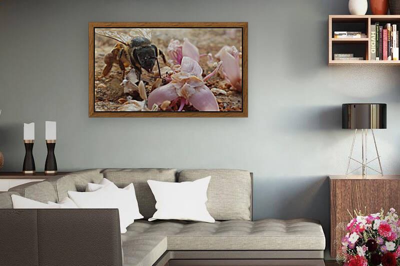 Bee in your face by Lezandie de Beer