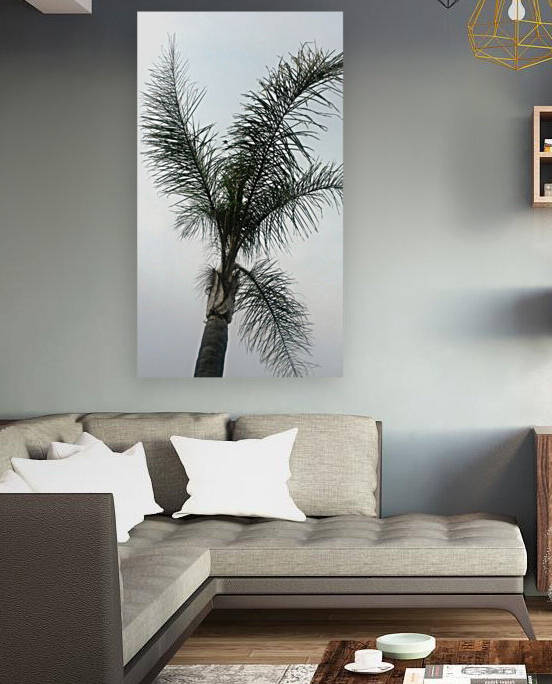 Palm in the sky Reproduction