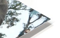 Big Nature HD Metal print