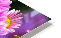 My daisy HD Metal print