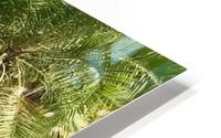Zambia Untamed HD Metal print
