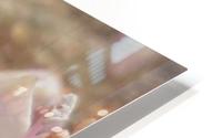 Bee in your face HD Metal print