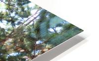 Timbarland HD Metal print