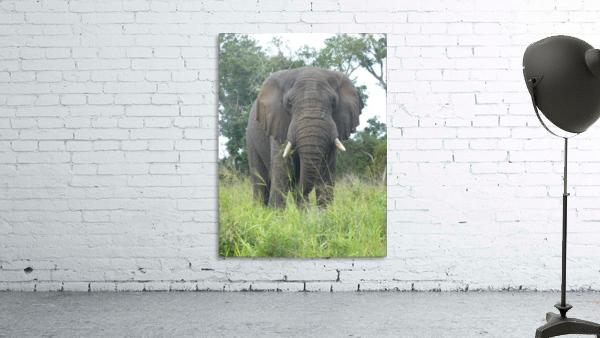 Big Grey Wall Preview