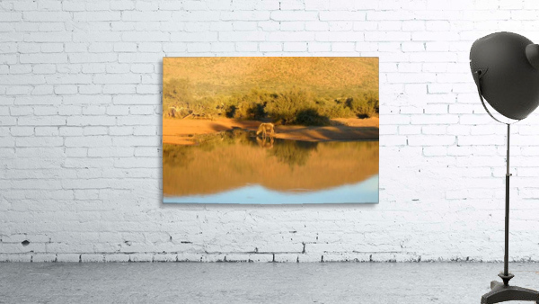 Kalahari Reflections Wall Preview