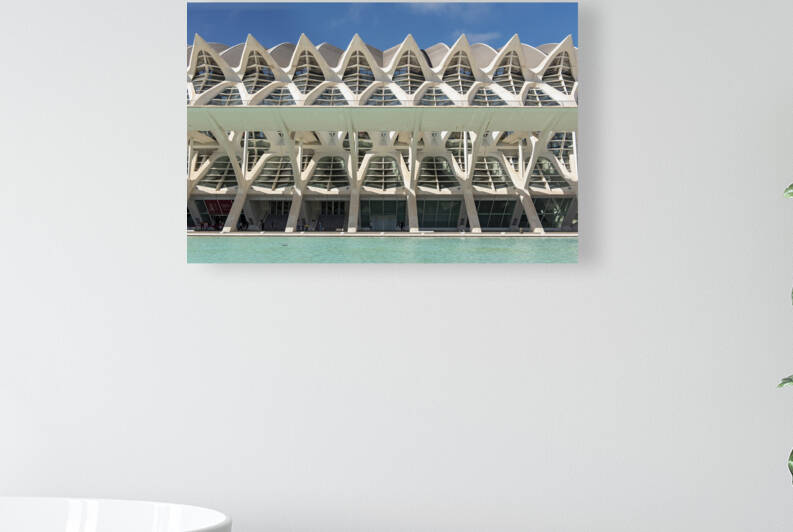 City of Arts and Sciences Valencia by Petr Svarc