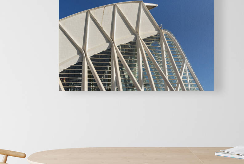 Science Museum City of Arts and Sciences Valencia by Petr Svarc