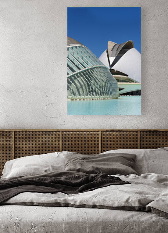 City of Arts and Sciences Valencia by Petr Svarc