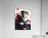 K Project 8 Acrylic Print