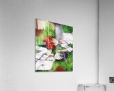 K Project 1 Acrylic Print