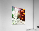 K Project 13 Acrylic Print