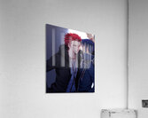 K Project 21 Acrylic Print