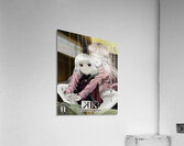 K Project 27 Acrylic Print