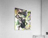 K Project 14 Acrylic Print