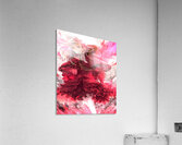 K Project 19 Acrylic Print