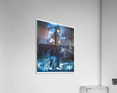K Project 33 Acrylic Print