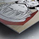 K Project 17 Metal print