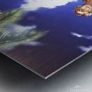 K Project 30 Metal print
