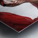 K Project 42 Metal print