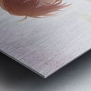 K Project 14 Metal print