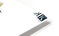 K Project 25 HD Metal print