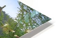Butchart Gardens HD Metal print