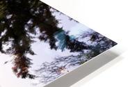 BACK YARD IN BC HD Metal print