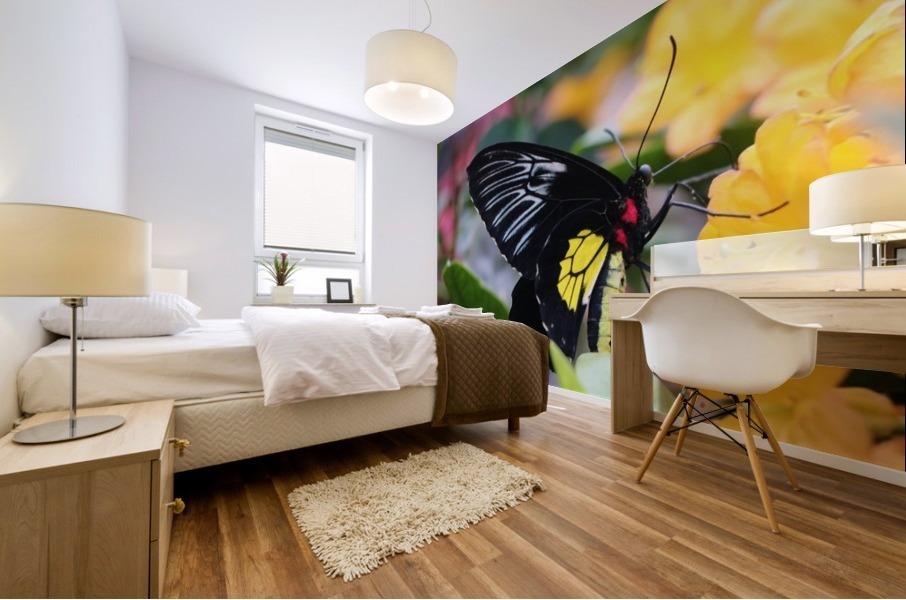 butterfly Mural print