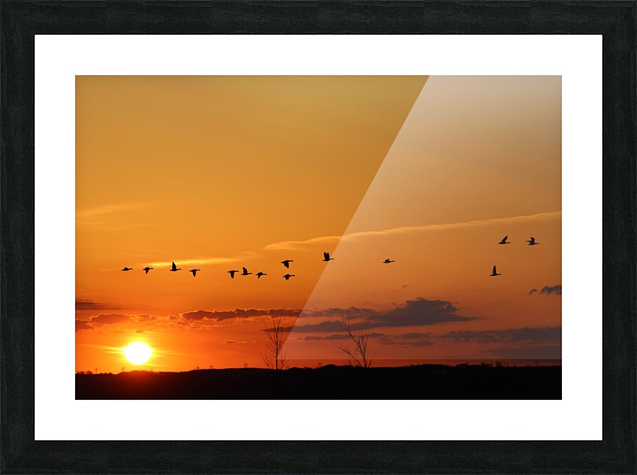 vol dombres Picture Frame print