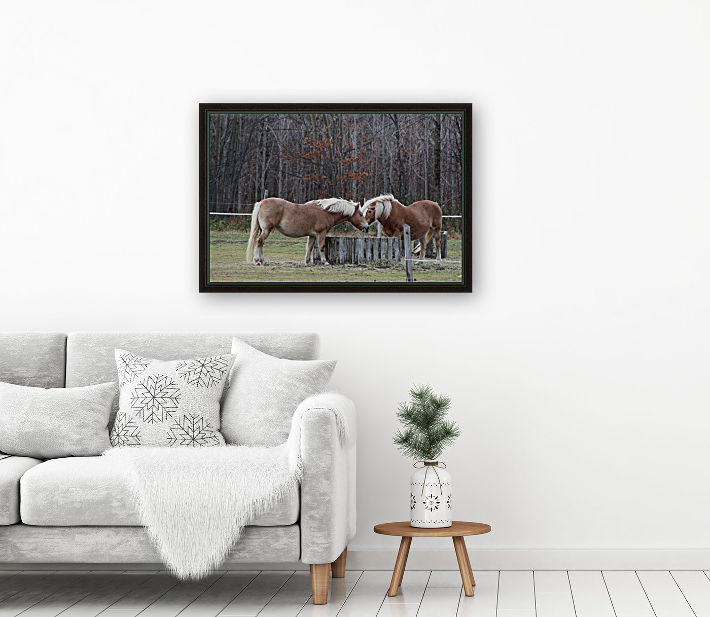 chevaux Reproduction