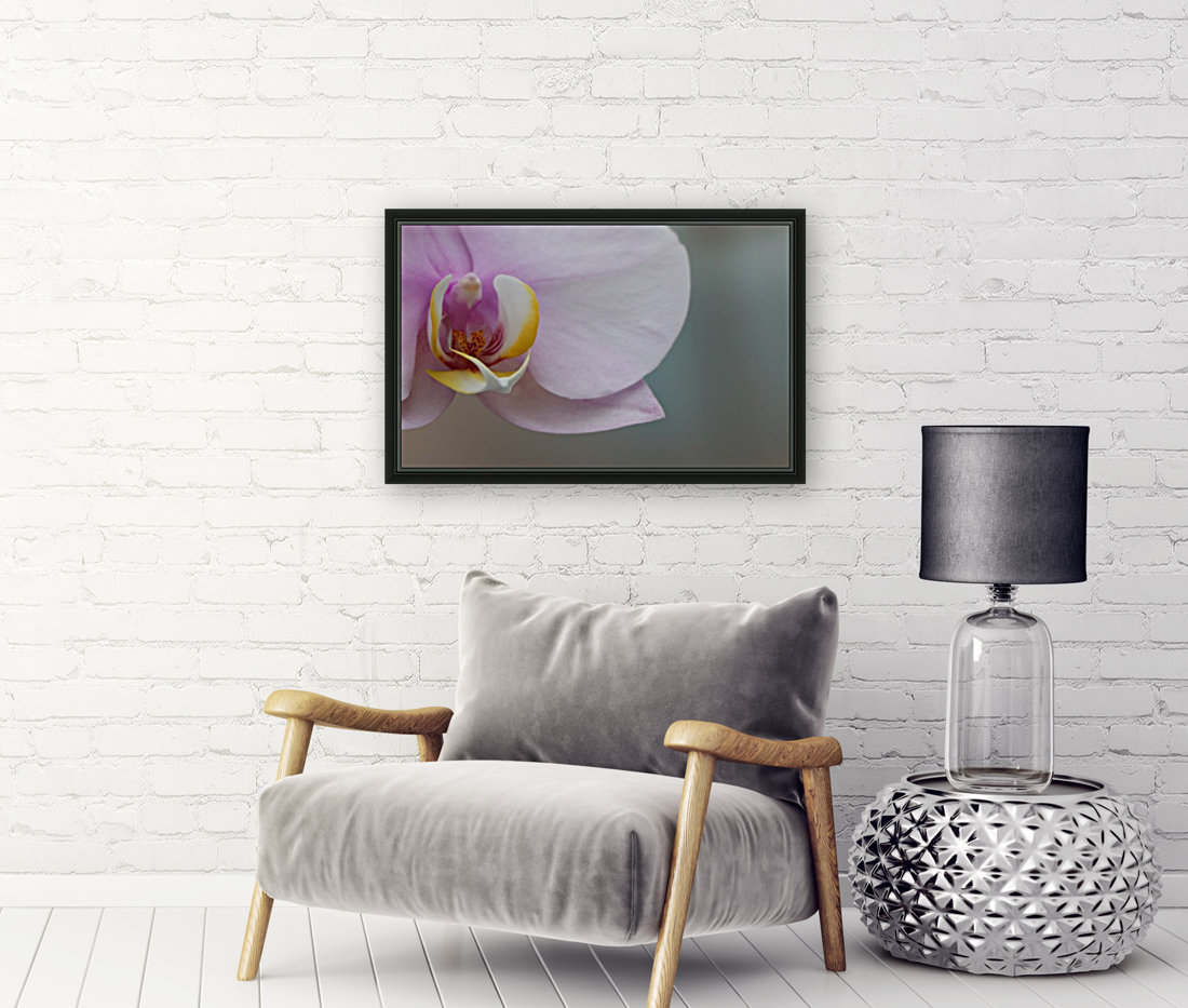 orchidé Reproduction