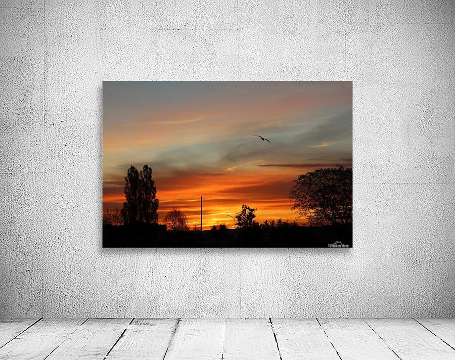 sunrise Wall Preview