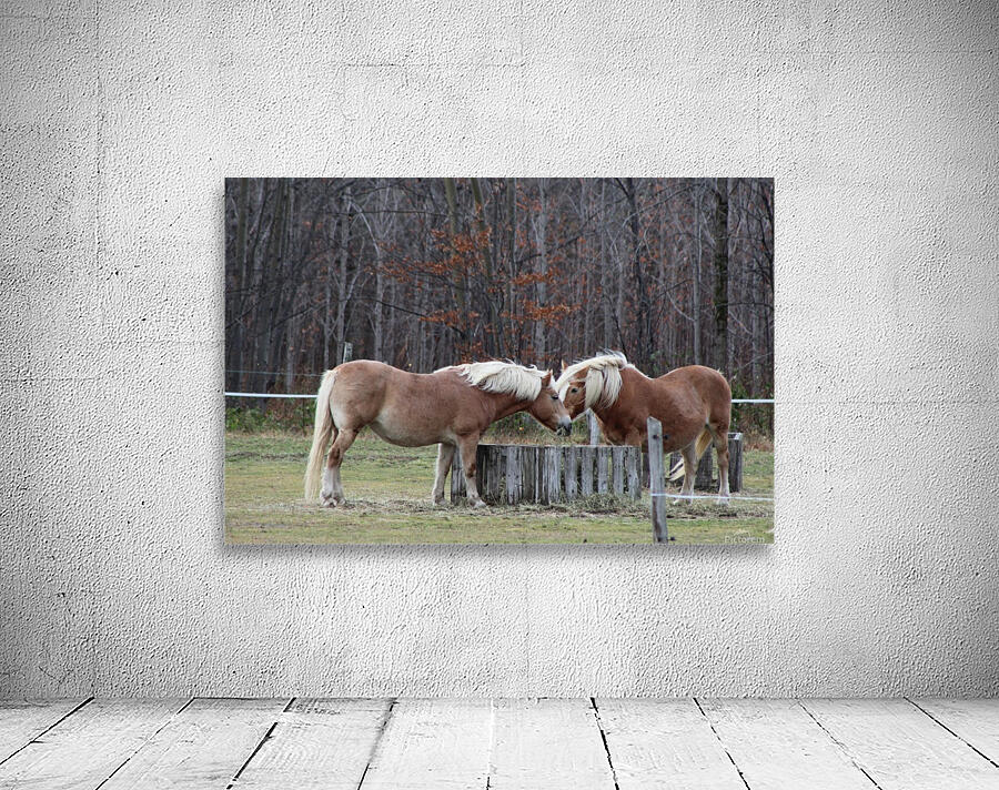 chevaux Wall Preview