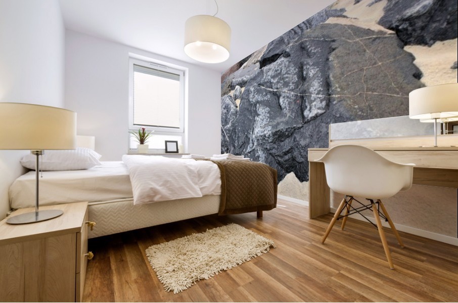 Rock Solid Mural print