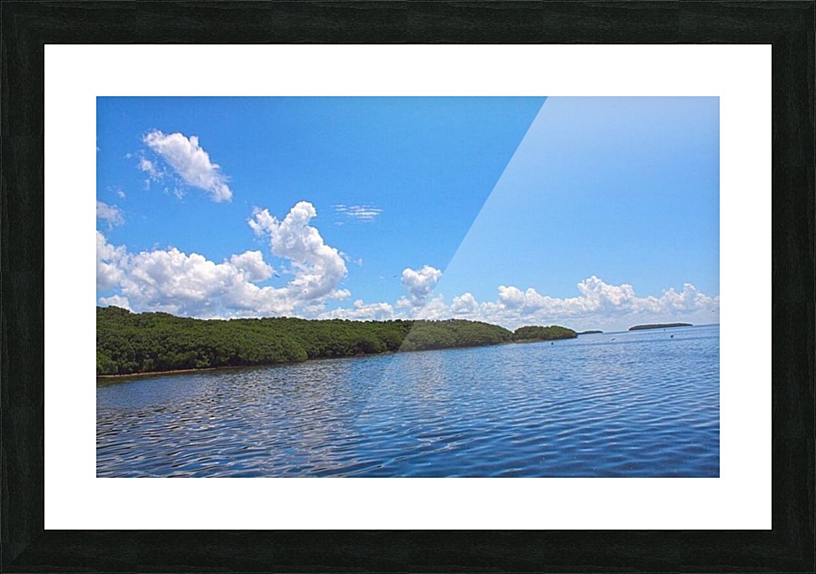 View from the airboat Picture Frame print