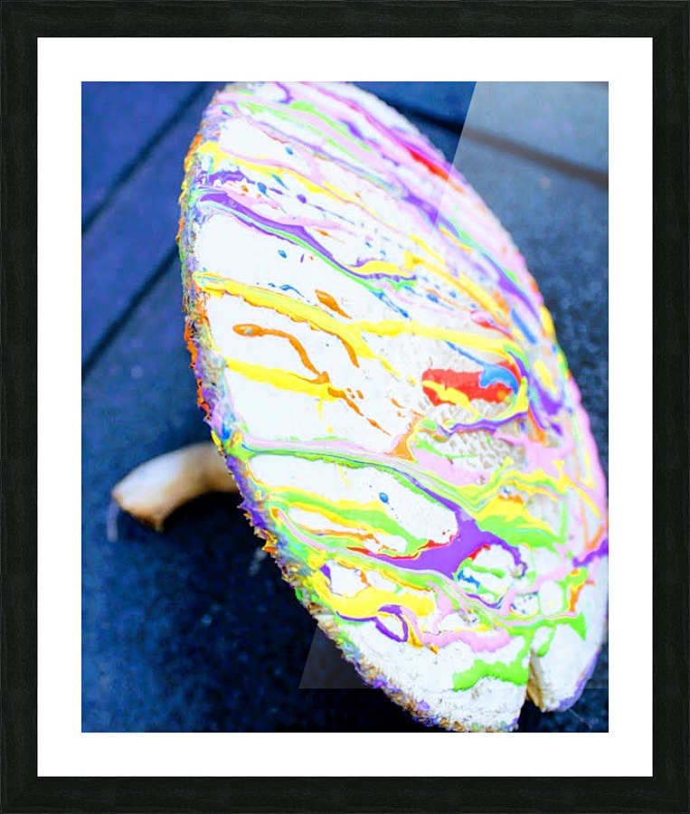 Psychedelic painted shroom  Picture Frame print