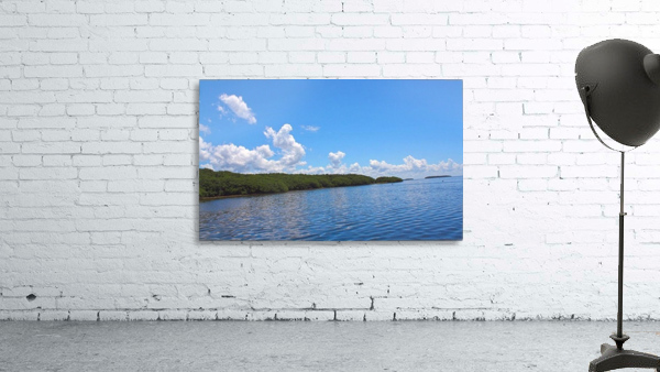 View from the airboat Wall Preview
