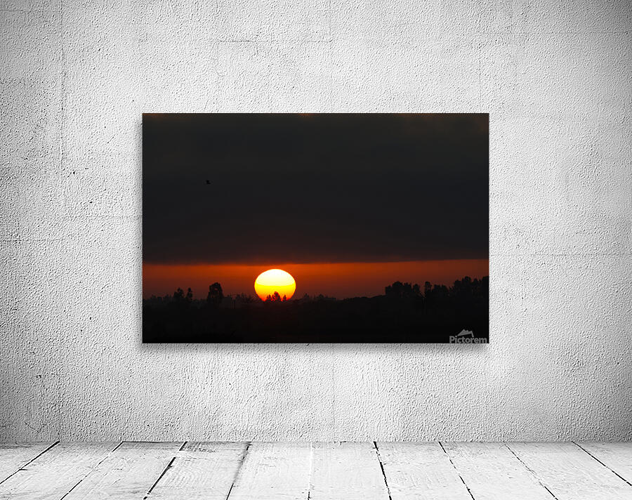 Sunrise 04 Wall Preview
