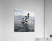 Sea rider Acrylic Print