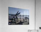  Dinosaurs after the storm. Acrylic Print