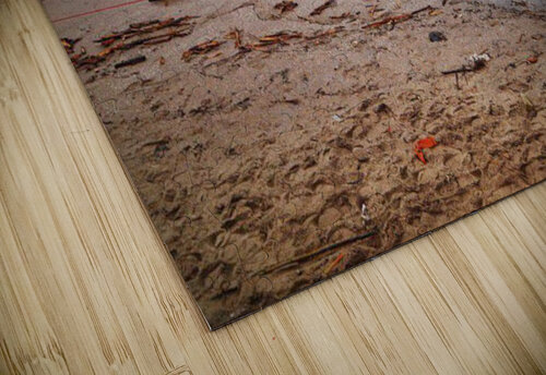 shipwreck Mihasya puzzle