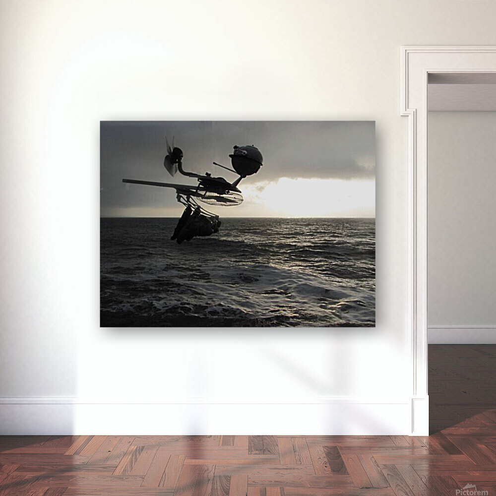 Flying robot 4. Reproduction