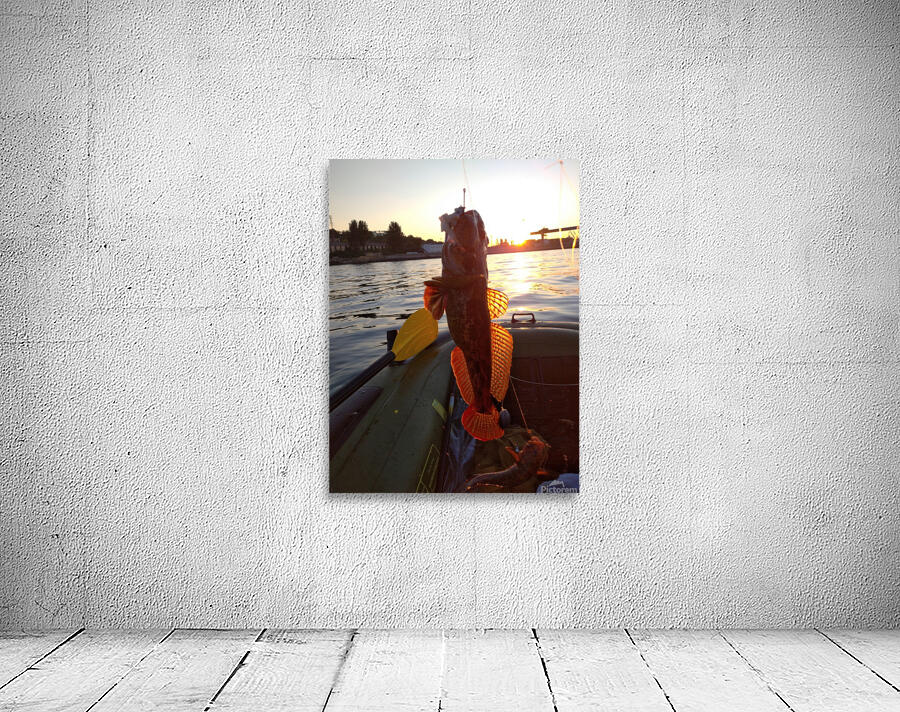 Fish in the evening Wall Preview