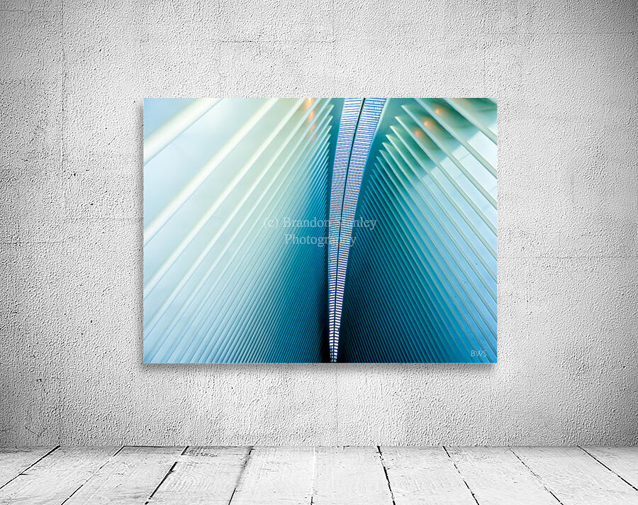 A R C  Wall Preview
