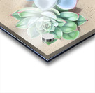 Succulent Acrylic print