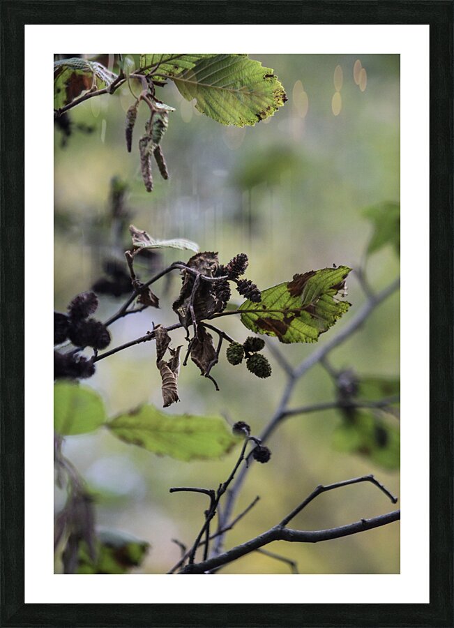 Life Picture Frame print