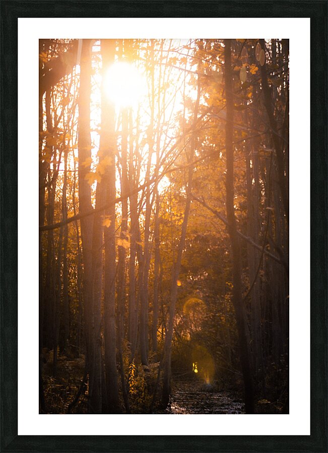 Fine Art print
