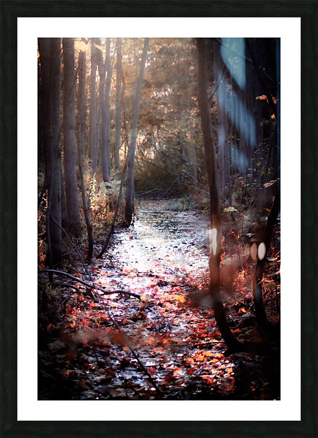  Fine Art print
