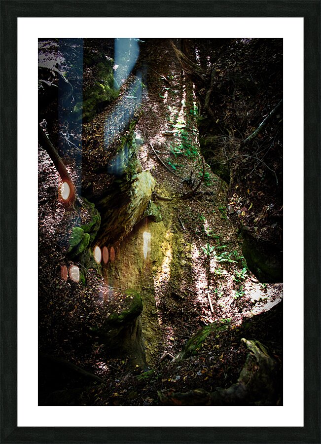  Fine Art print